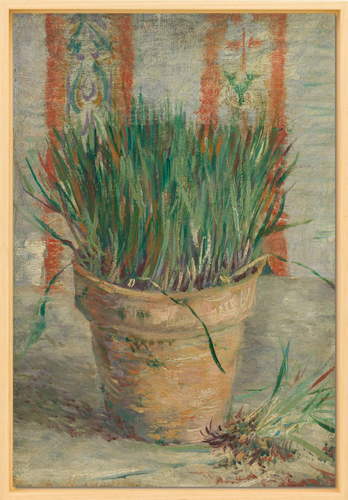 Flowerpot with Garlic Chives