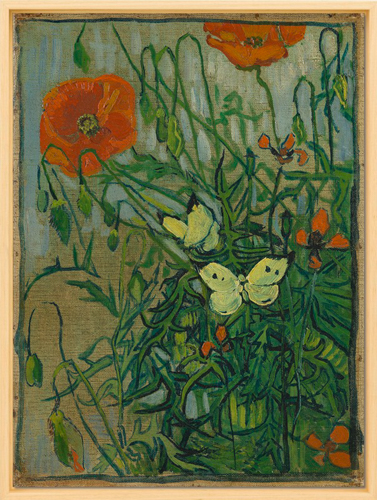 Butterflies and Poppies